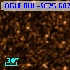OGLE BUL-SC25 602717