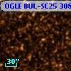 OGLE BUL-SC25 308316