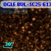 OGLE BUL-SC25 613171