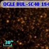OGLE BUL-SC40 184321