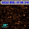 OGLE BUL-SC40 344964