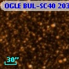OGLE BUL-SC40 203950