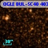 OGLE BUL-SC40 403313