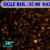 OGLE BUL-SC40 443742