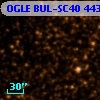 OGLE BUL-SC40 443732