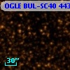 OGLE BUL-SC40 443717