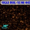 OGLE BUL-SC40 443772
