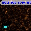 OGLE BUL-SC40 462453