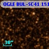 OGLE BUL-SC41 181364