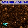 OGLE BUL-SC41 343344
