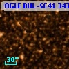 OGLE BUL-SC41 343335
