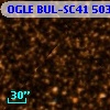 OGLE BUL-SC41 503730