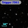 Trigger  7981