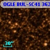 OGLE BUL-SC41 362911