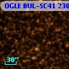 OGLE BUL-SC41 230762