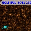 OGLE BUL-SC41 230781