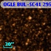OGLE BUL-SC41 295560