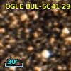 OGLE BUL-SC41 295573