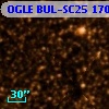 OGLE BUL-SC25 170780