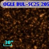 OGLE BUL-SC25 205395