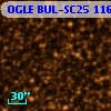 OGLE BUL-SC25 116471