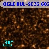 OGLE BUL-SC25 602716