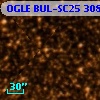 OGLE BUL-SC25 308297