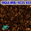 OGLE BUL-SC25 613121