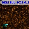 OGLE BUL-SC25 613163