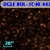 OGLE BUL-SC40 443764