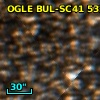 OGLE BUL-SC41 532761