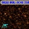OGLE BUL-SC41 250893