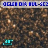 OGLEII DIA BUL-SC22     87