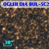 OGLEII DIA BUL-SC22    197