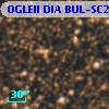 OGLEII DIA BUL-SC22    226