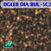 OGLEII DIA BUL-SC22    339