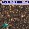 OGLEII DIA BUL-SC22    450
