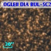 OGLEII DIA BUL-SC22    583
