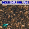 OGLEII DIA BUL-SC22    592