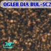 OGLEII DIA BUL-SC22    594