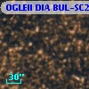 OGLEII DIA BUL-SC22    625