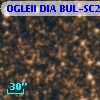 OGLEII DIA BUL-SC22    710