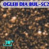 OGLEII DIA BUL-SC22    918
