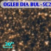 OGLEII DIA BUL-SC22   1001