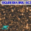 OGLEII DIA BUL-SC22   1143