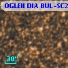OGLEII DIA BUL-SC22   1595