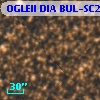 OGLEII DIA BUL-SC22   1988