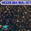 OGLEII DIA BUL-SC23    215