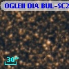 OGLEII DIA BUL-SC23    549