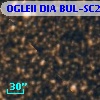 OGLEII DIA BUL-SC23    682